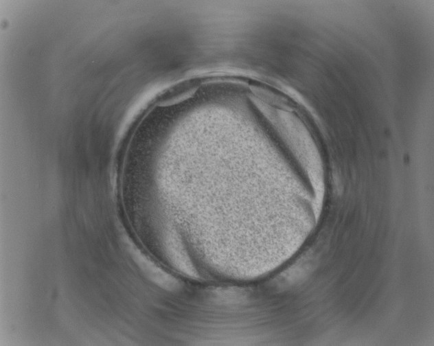 X0000074291416200609151905