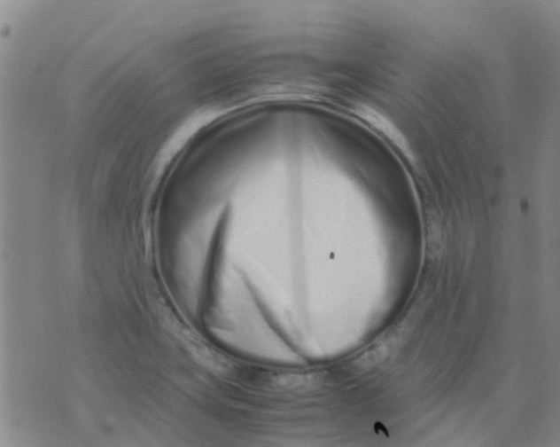 X0000074291419200609151905