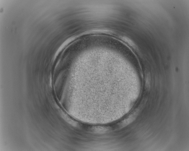 X0000074291420200609151905