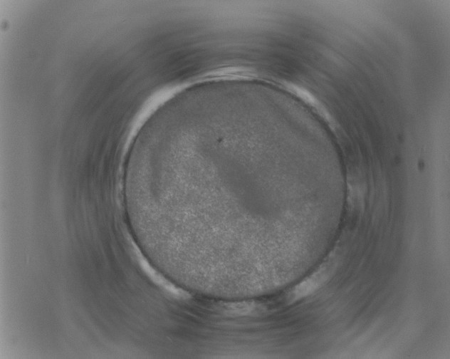 X0000074291421200609151905