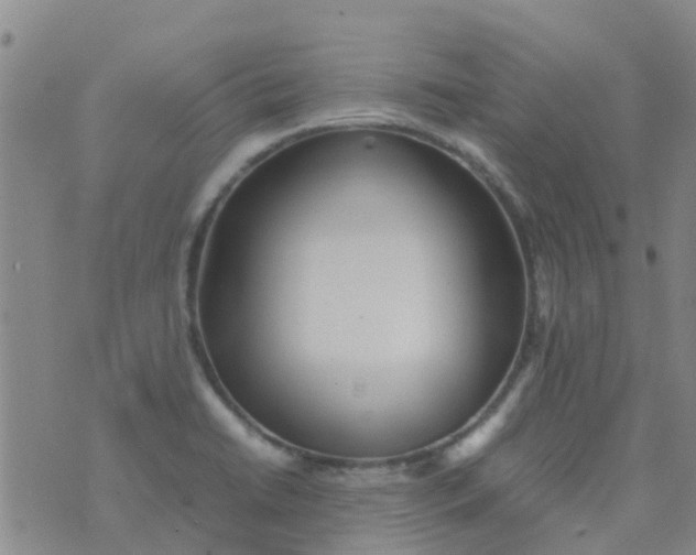 X0000074291422200609151905