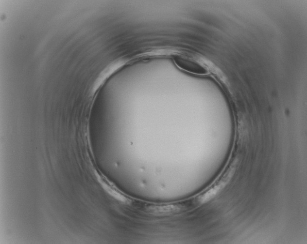 X0000074291425200609151905