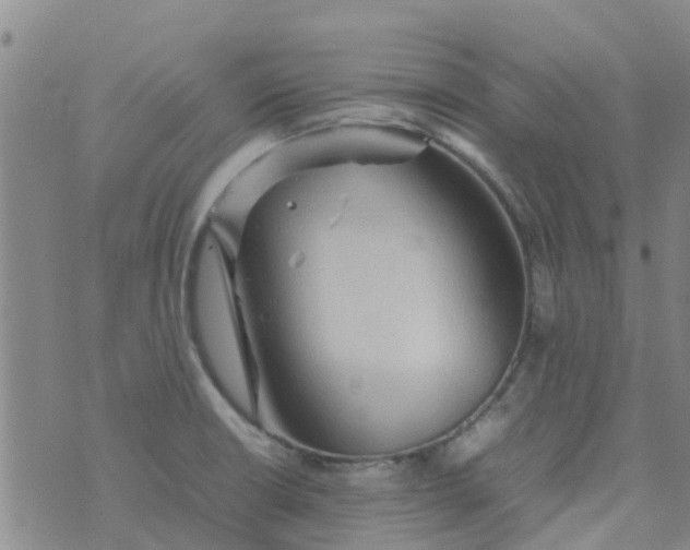 X0000074291426200609151905