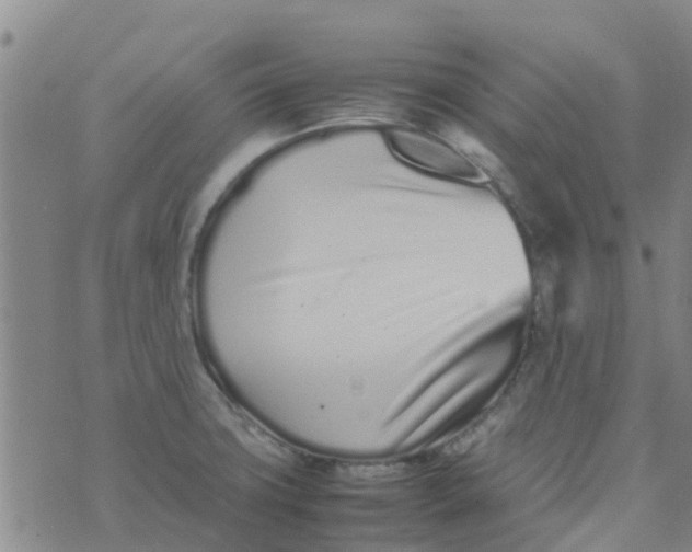 X0000074291427200609151905