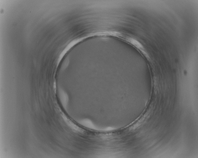 X0000074291428200609151905