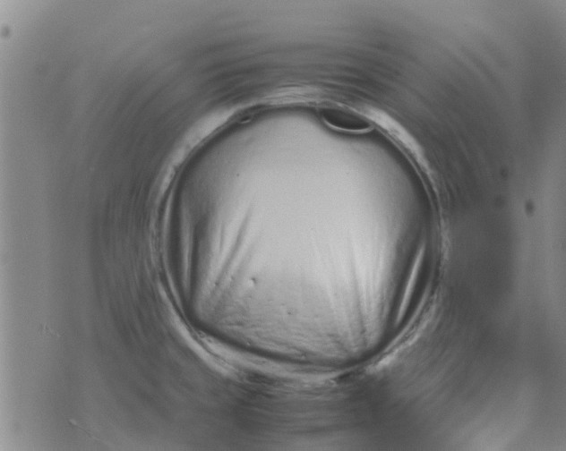 X0000074291429200609151906