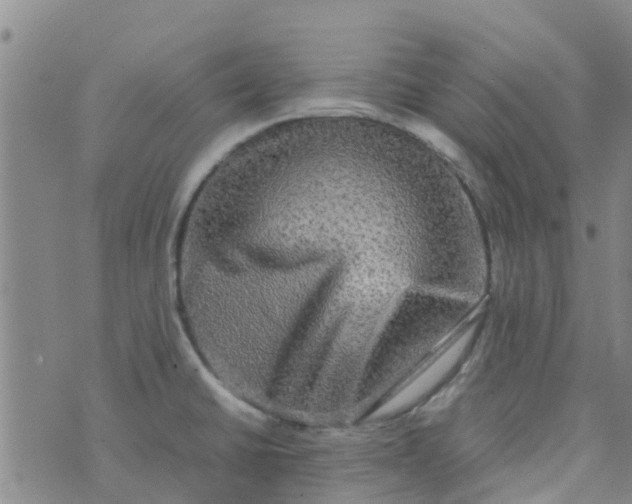 X0000074291430200609151906