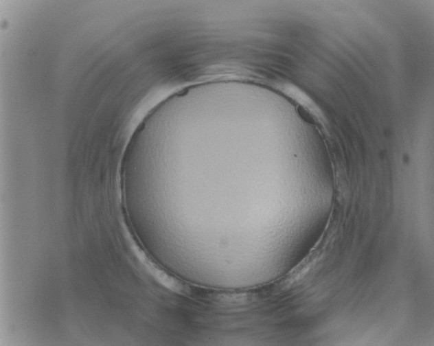 X0000074291431200609151906