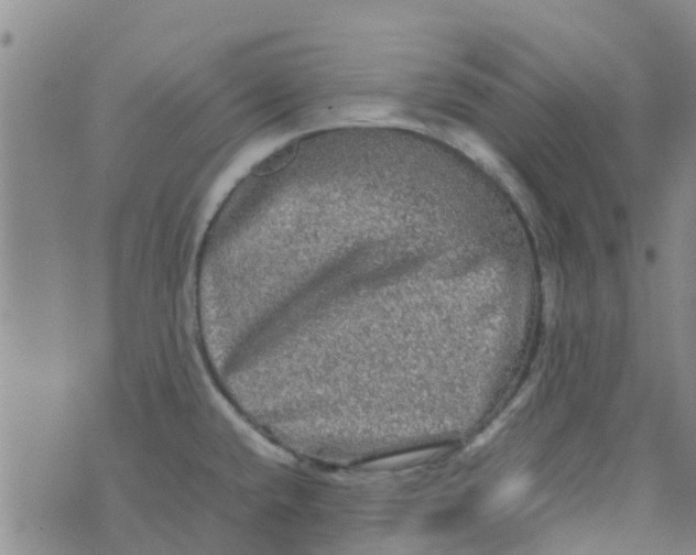 X0000074291432200609151906