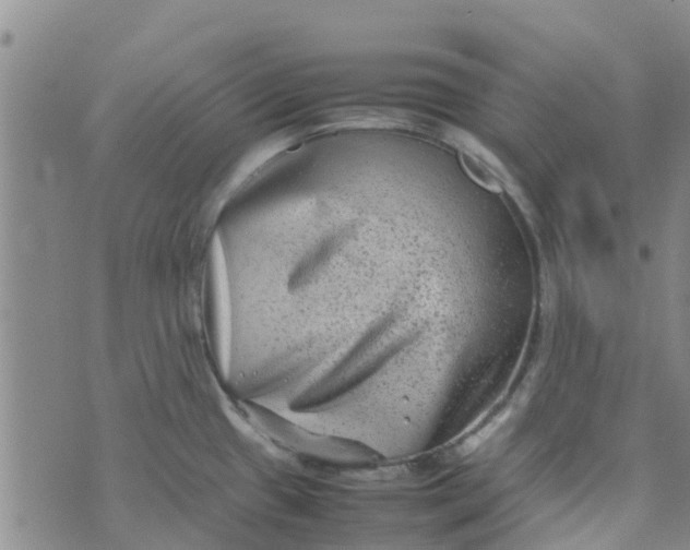 X0000074291433200609151906