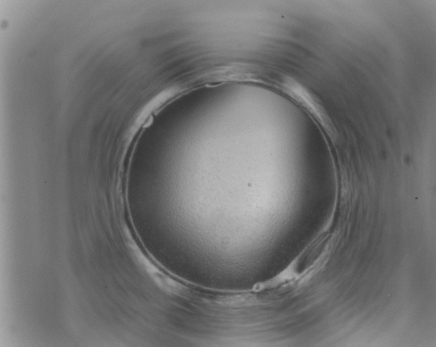 X0000074291434200609151906