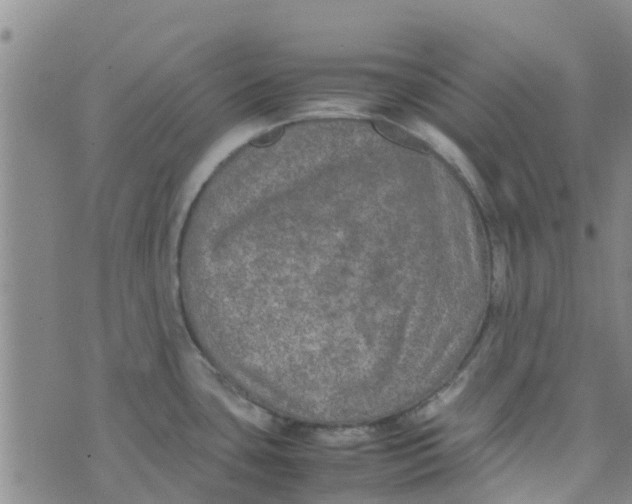 X0000074291435200609151906