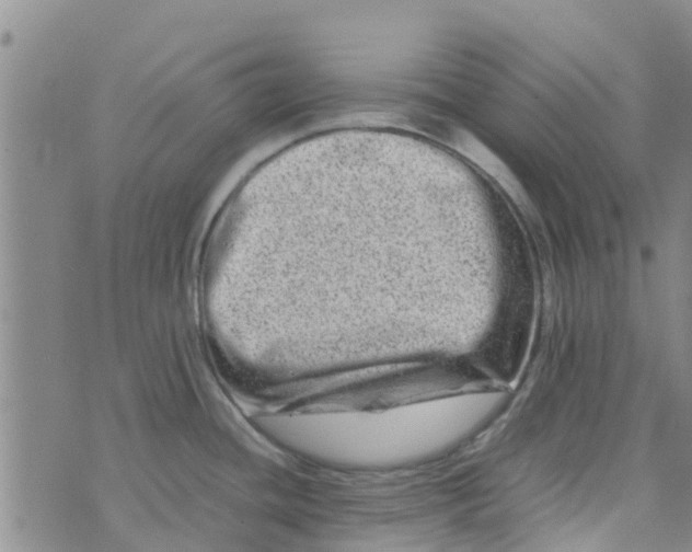 X0000074291436200609151906