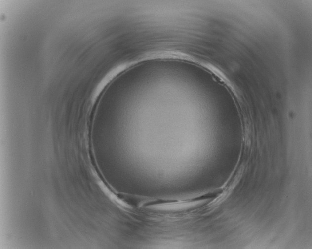 X0000074291438200609151906