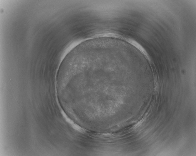 X0000074291439200609151906