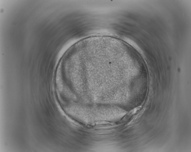 X0000074291440200609151906