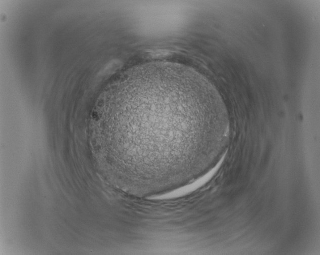 X0000074291441200609151905