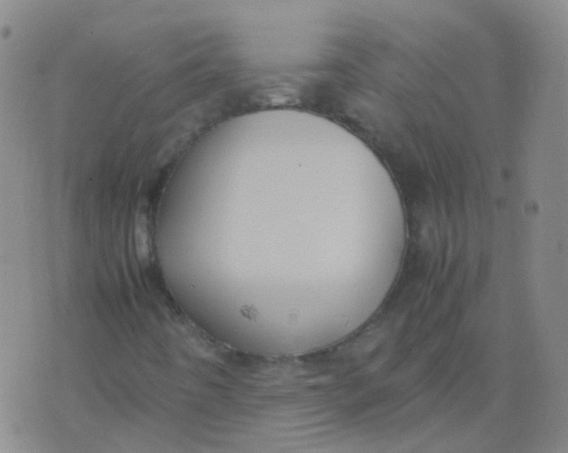 X0000074291442200609151905