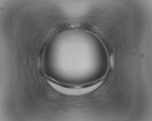 X0000074291443200609151905