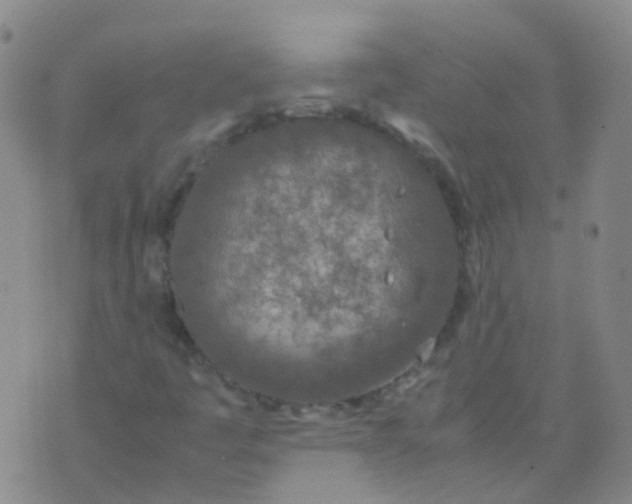 X0000074291445200609151905