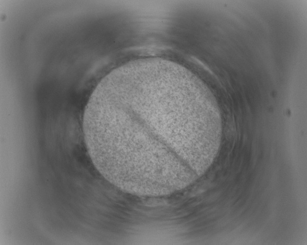 X0000074291446200609151905