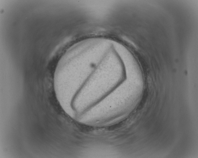 X0000074291447200609151905