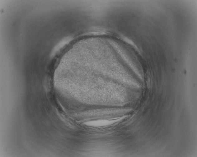 X0000074291448200609151905