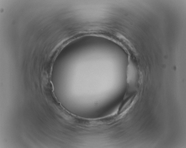 X0000074291449200609151905