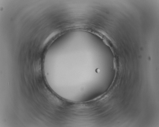 X0000074291450200609151905