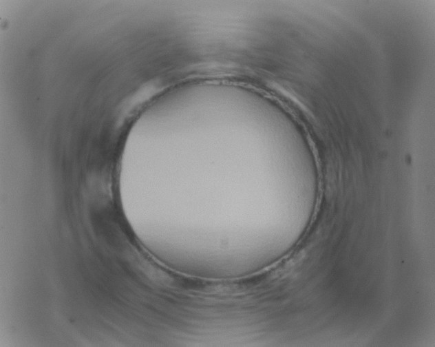 X0000074291451200609151905