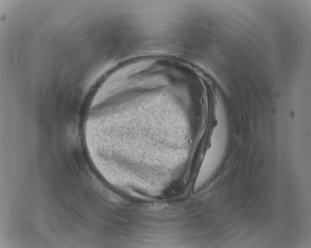 X0000074291452200609151905