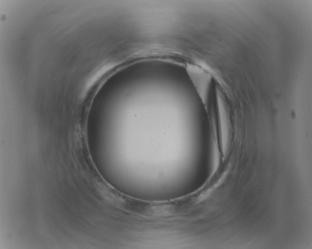 X0000074291453200609151905