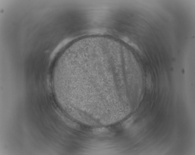 X0000074291454200609151905