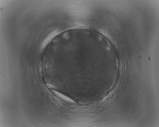 X0000074291455200609151905