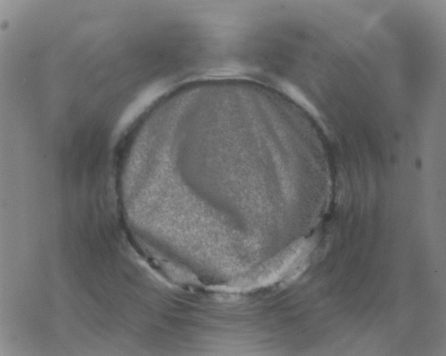 X0000074291456200609151905