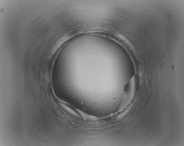 X0000074291457200609151905