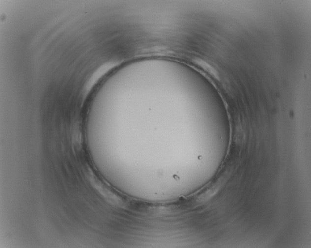 X0000074291458200609151905