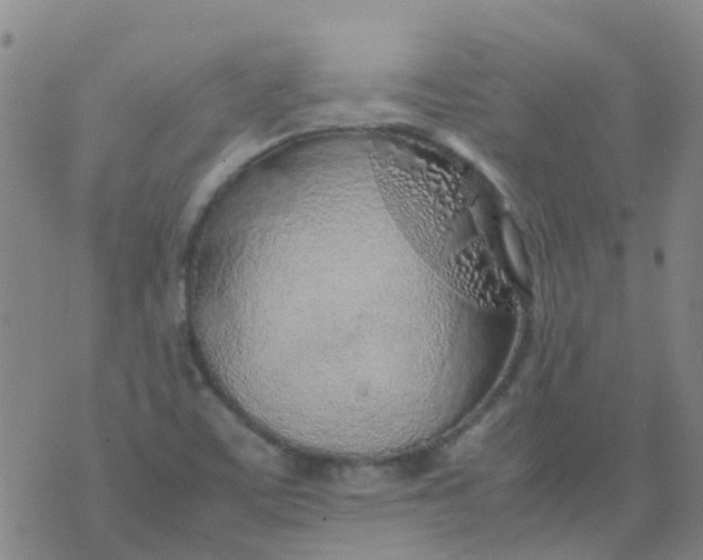 X0000074291459200609151905