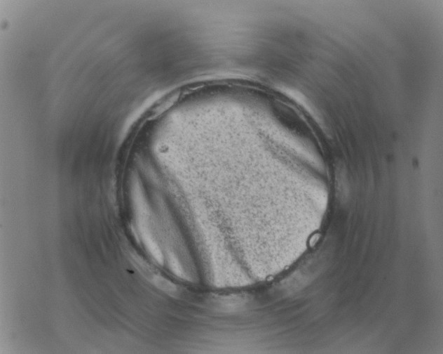 X0000074291460200609151905