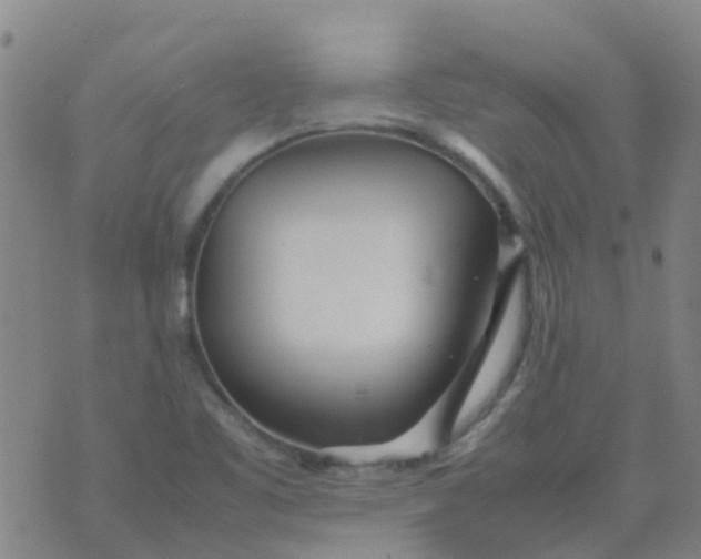 X0000074291461200609151905