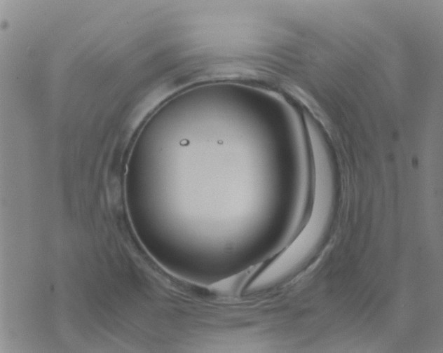 X0000074291465200609151905