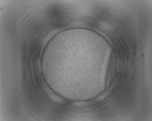 X0000074291466200609151905