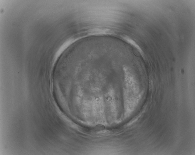 X0000074291467200609151904