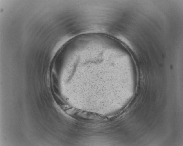 X0000074291468200609151904