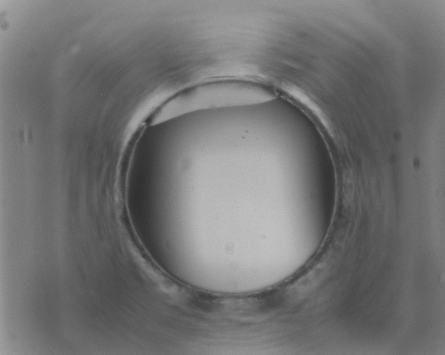 X0000074291469200609151904