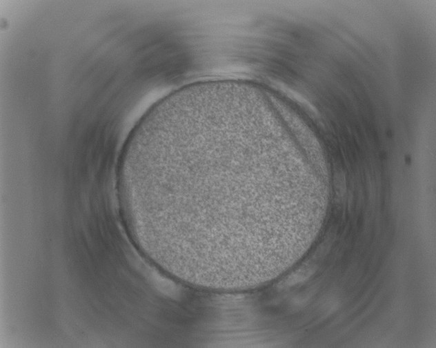 X0000074291470200609151904