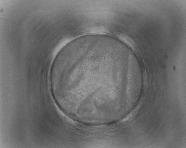 X0000074291471200609151904