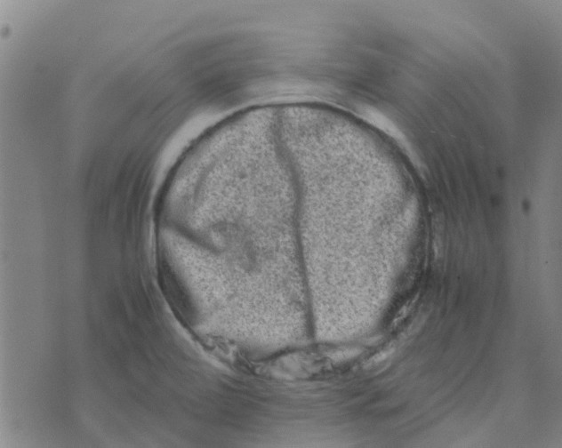 X0000074291472200609151904