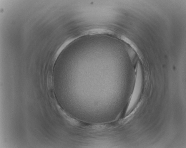 X0000074291473200609151904