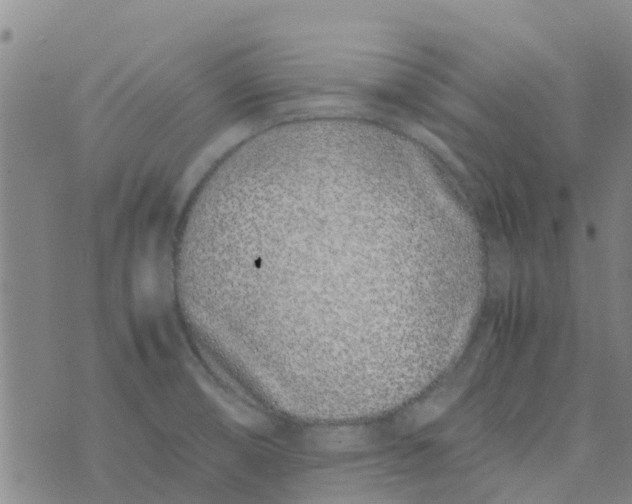 X0000074291474200609151904